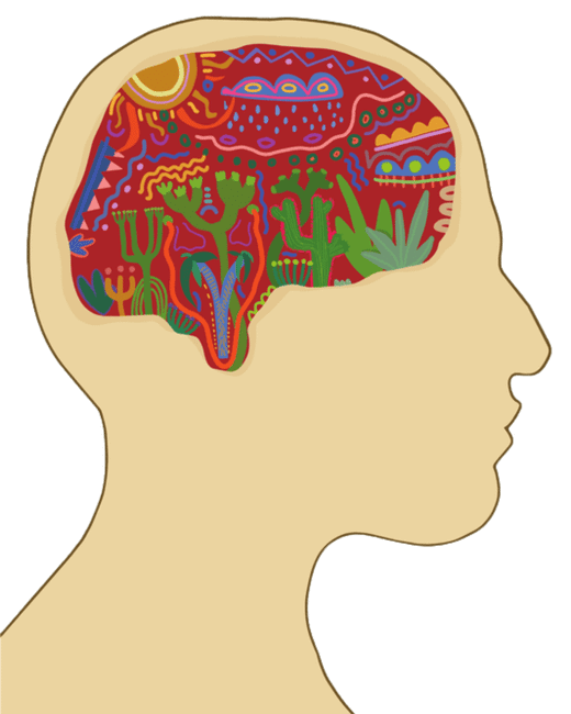feature image